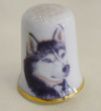 Picture of Thimble dog